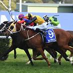 winx stakes bet